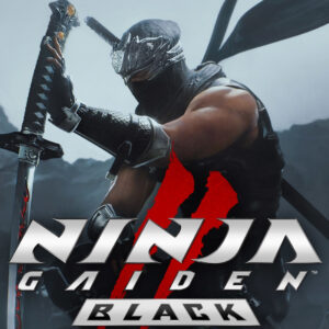 NINJA GAIDEN 2 Black PC Steam Account