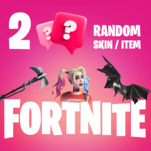 2 Random Fortnite Skins / Items PC Epic Games CD Key