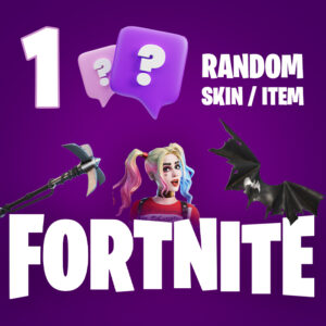 1 Random Fortnite Skin / Item PC Epic Games CD Key