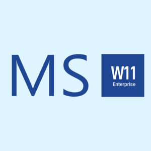 Windows 11 Enterprise CD Key