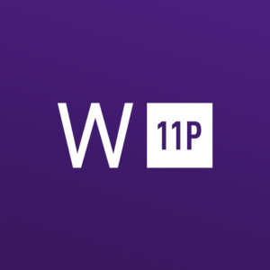 Windows 11 Professional OEM Key - API