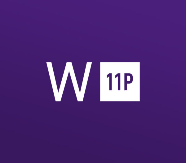 Windows 11 Professional Online Activation Key