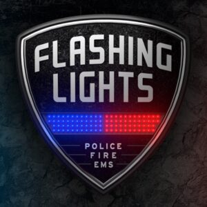 Flashing Lights PC Steam Account