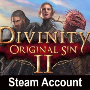 Divinity: Original Sin 2 Steam Account