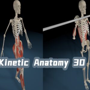 Kinetic Anatomy 3D PC Steam CD Key