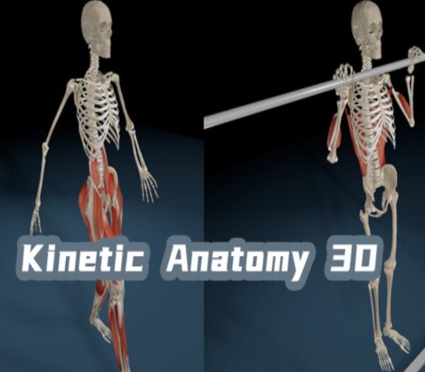 Kinetic Anatomy 3D PC Steam CD Key