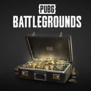 PUBG - 5500 G-Coins PC Steam CD Key