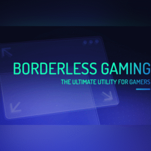 Borderless Gaming PC Steam Account