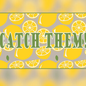 Catch them!  Steam CD Key
