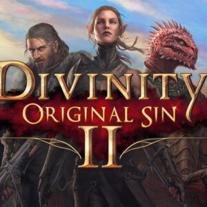 Divinity: Original Sin 2 - Divine Edition Steam Account