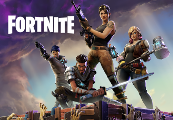 Fortnite Standard Founder's Pack Epic Games CD Key
