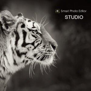 Smart Photo Editor Studio Download CD Key